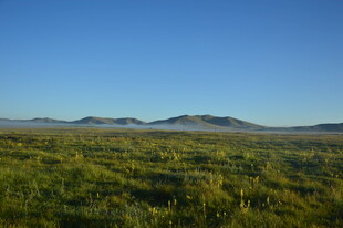 广袤绿野与远处山峦