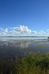 蓝天碧水间的湿地风光