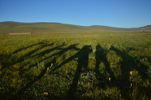 草原上的人影与长长影子