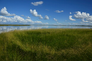 广袤草原与蓝天相映成趣