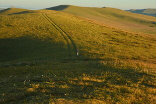草原车辙 黄昏下的自然美景