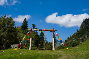 户外彩色秋千装点绿色草地
