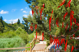 祈福树前人影与红绸美景