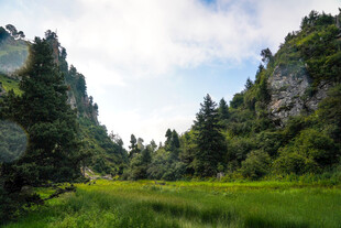 山间绿野 自然清新景致