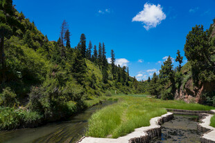 山间溪流畔的葱郁景致