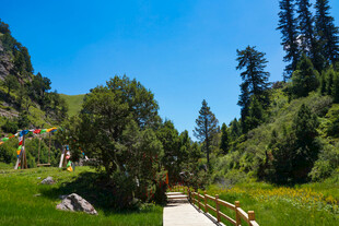 山间小道的自然美景