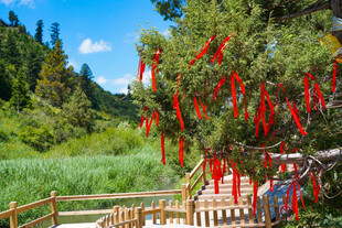林间祈福处 红绸随风飘