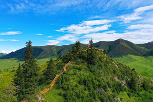 山间绿野中的蜿蜒小径