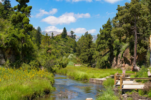 林间小溪畔的自然美景
