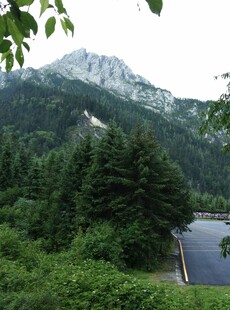 山间湖畔绿意盎然景色