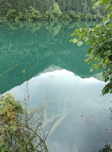 碧绿湖水映山林美景