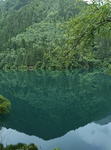 翠绿山林间的幽蓝湖水