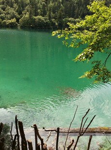 翠绿湖水与岸边景致
