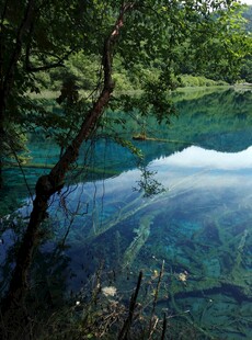 森林中的清澈幽蓝湖水
