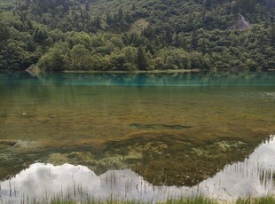 清澈湖水与葱郁山林美景