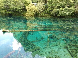 清澈见底的幽美山间湖水