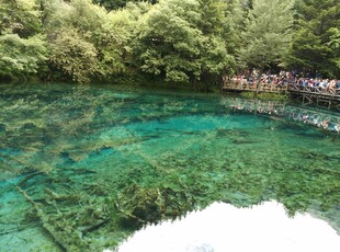 清澈碧绿的幽美湖水景观