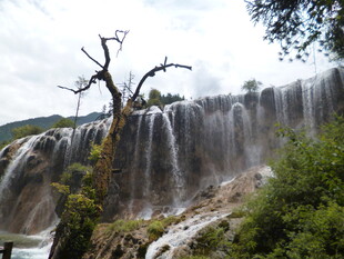 壮观瀑布旁的枯树景观