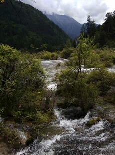 山间溪流 绿意盎然的景致
