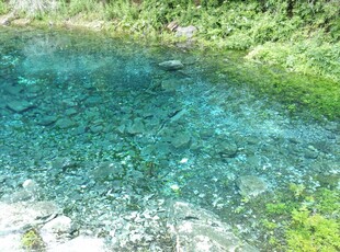 清澈碧绿的山间幽潭