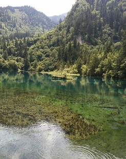 山间碧绿湖水自然美景
