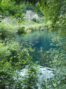 清幽山林间的澄澈溪流