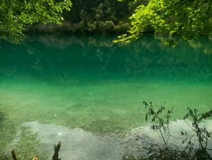 碧绿清澈的山间幽潭