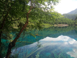 梦幻清澈的山林湖泊美景