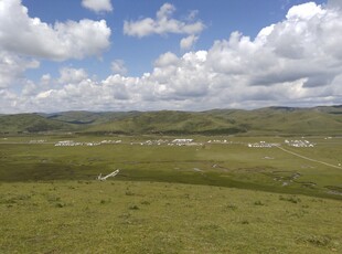 草原风光 蓝天白云绿地