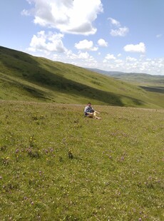 草原上的骑行者