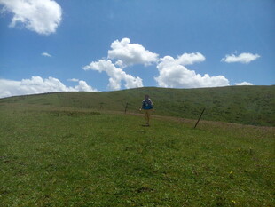 草原漫步 畅享自然之美