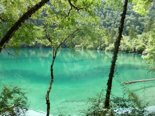 梦幻蓝绿潭 林间清幽景
