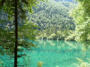 翠绿山林间的澄澈碧湖