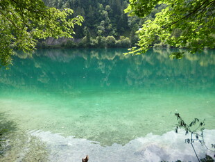 翠绿山林间的澄澈碧潭