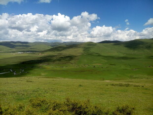 草原风光 蓝天白云绿意浓