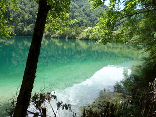 翠绿山林间的澄澈湖水