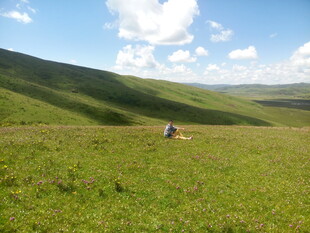 草原上的孤独身影