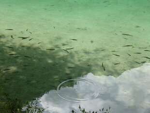 清澈水底与漂浮白云景象