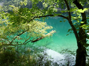 湖畔绿意盎然的迷人景致