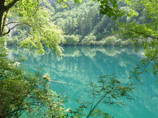 梦幻蓝湖 林间静谧美景