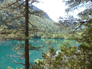 山间幽蓝湖泊与葱郁林木