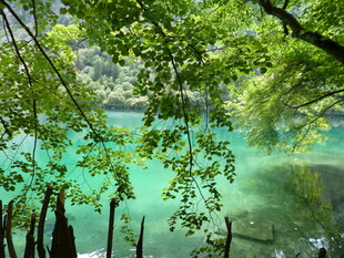 林间翠湖 一抹自然的澄澈