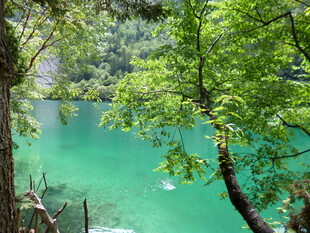 翠绿山林间的澄澈碧湖