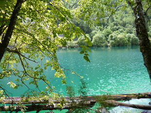 湖畔绿荫下的清幽美景