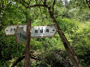 林间路标指引前行方向