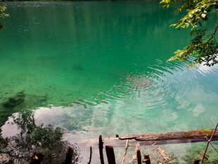碧绿湖水边的自然景致