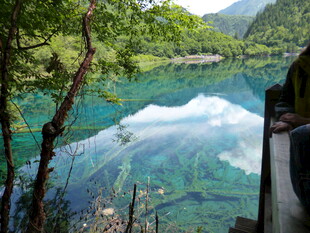 清澈湖景倒映山林美景