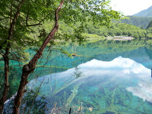 梦幻清澈的山林湖泊美景