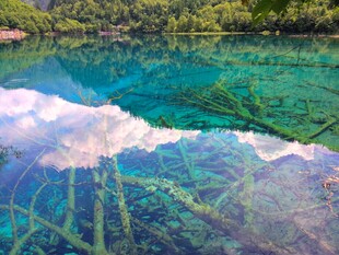 清澈湖底与水面倒影美景