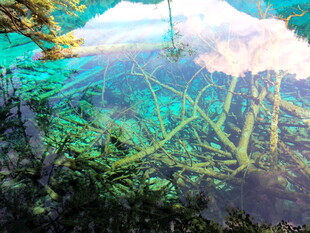 梦幻海底世界的水母景观